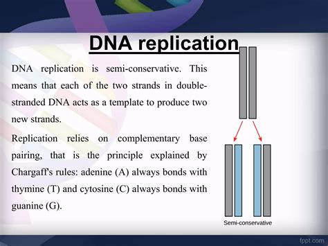 Image result for DNA Microarray Device