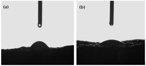 Chitosan Coating Functionalized with Flaxseed Oil and Green Tea Extract ...