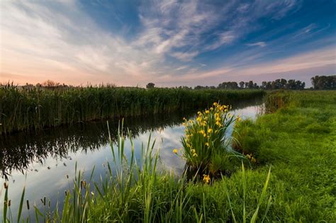 Beautiful evening landscape with the river and flowers | Premium Photo