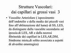 vasculite dei piccoli vasi coinvolgimento polmonare nelle malattie sistemiche ppt vasculite dei piccoli vasi coinvolgimento polmonare nelle malattie sistemiche ppt