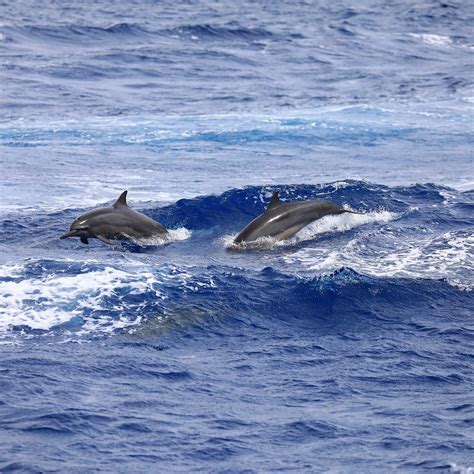 GUAM TOUR (2026) All You Need to Know BEFORE You Go (with Photos ...