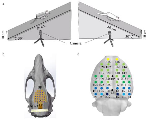 Image result for Wikapedia Treadmill Repairs Error Code E2