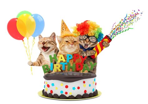 Happy Birthday Cat Emoji