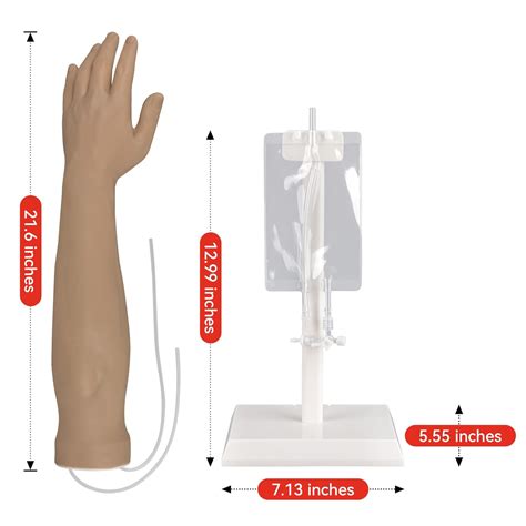 Medarchitect Medical Training Arm for IV Injections, Phlebotomy, India ...
