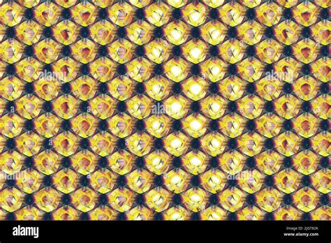 Image result for Screen Background Colour