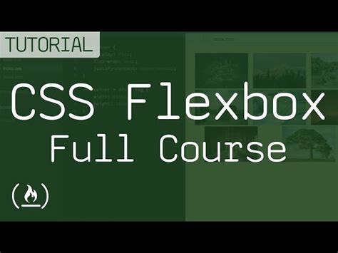 Freecodecamp CSS Class 的图像结果