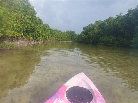 ALLY KAYAK - All You Need to Know BEFORE You Go 2026 (with Photos ...