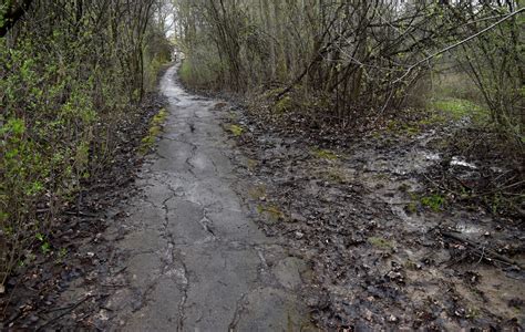 Runnymede-Pauline asphalt path in Ann Arbor crumbling, muddy and ...