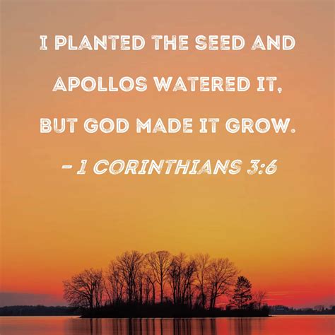 Plant The Seed Bible Verse