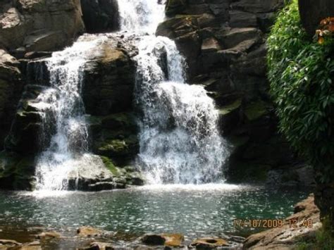 Bhimashankar Tourism (2024): All You Need to Know Before You Go