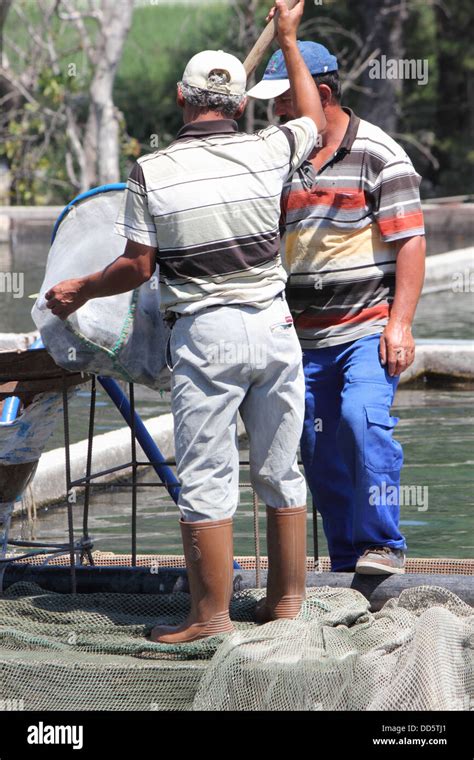 Image result for Trout Farming Methods