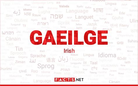 Image result for Irish Language with Pronunciation Guide