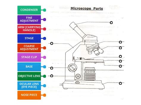 Microscope Label 的图像结果
