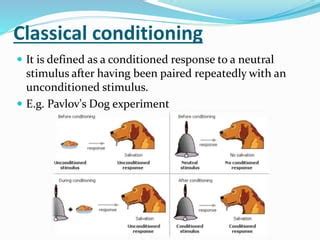 Image result for Associative Learning Examples