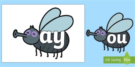 Phase 5 Sounds on Flies Posters - Phase 5 Sounds on Flowers