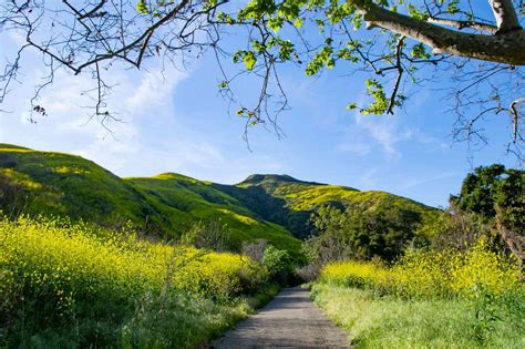Hiking in Los Angeles: Best LA Hiking Trails | Travel + Leisure
