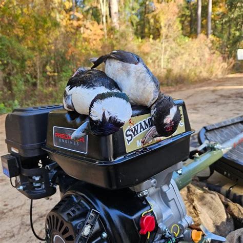 Image result for Harbor Freight Swamp Runner Mud Boat