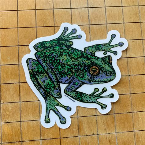 Tree Frog Decal — NATURE WALK