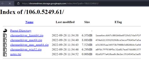 Image result for Selenium Practice Download File