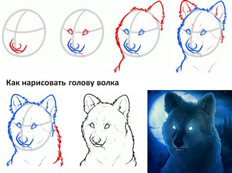 Рисунки волка поэтапно: Как нарисовать волка карандашом поэтапно