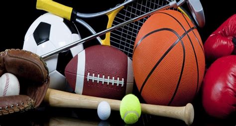Image result for Sports Program Example