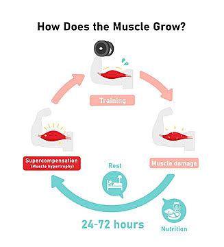 Image result for Computer Link Muscle Growth