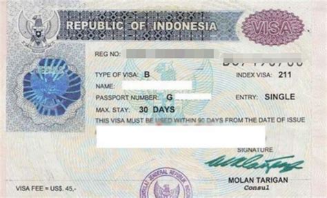 【签证指南】落地签10分钟丝滑入境印尼全攻略_电子_机场_海关