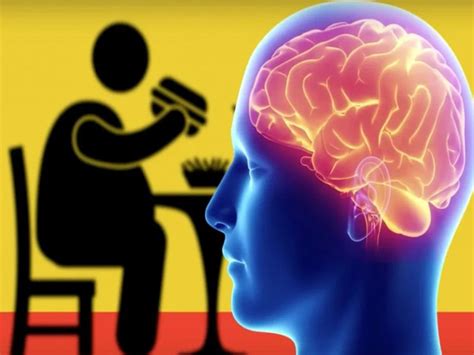 Obesity can damage the brain's functioning | મેદસ્વિતાને લીધે મગજની ...