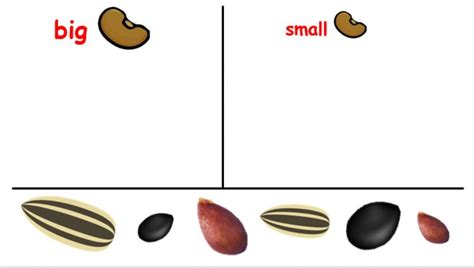 Image result for Big Seed ST Math