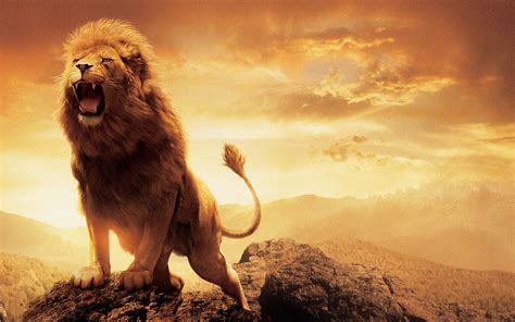 Aslan Roaring - Chronicles of Narnia HD Wallpaper