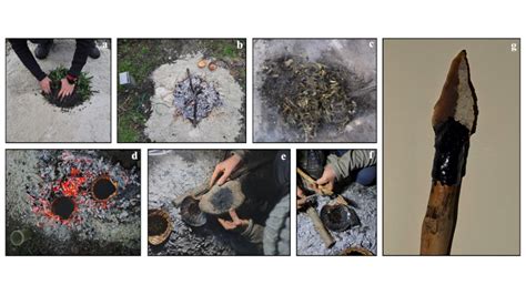 tar Extraction 的图像结果