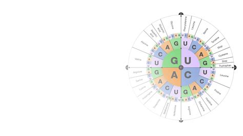 Image result for Genetic Code Videos