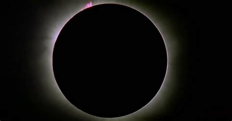 This Is What The Solar Eclipse This Morning Looked Like Around The ...