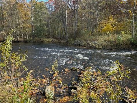 Riparian Zones (Paw Paw River County Park), Paw Paw River County Park ...