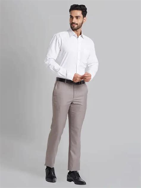 Park Avenue Men Fawn Smart Fit Structure Trouser – MyRaymond