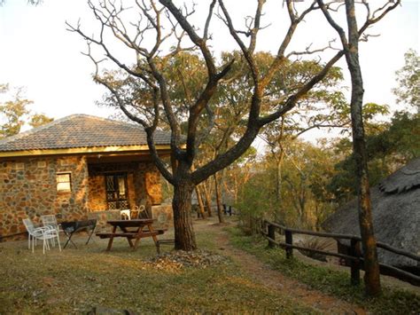 BUSHBABY LODGE (Harare) - Lodge Reviews & Photos - Tripadvisor