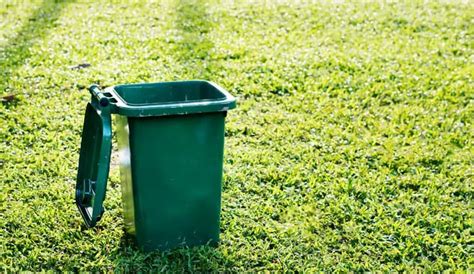 Open Gft File 的图像结果