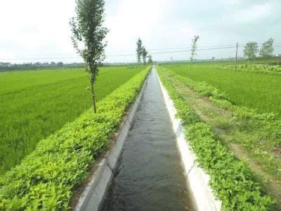 农田灌溉水渠施工步骤 - 知乎