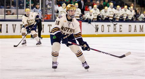 Pelkey: Highest Paid Hockey Player In NWHL Earned $6,000 - Sports Magy