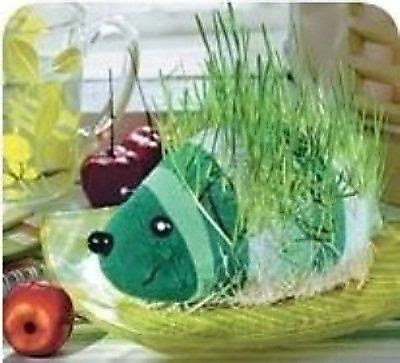 Image result for Sock Craft Projects