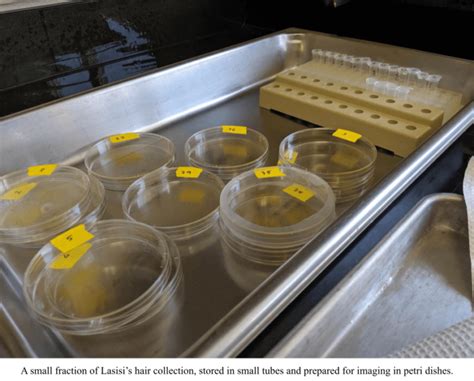 Race Human Categorization 的图像结果