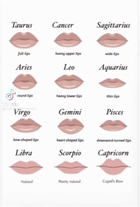 Types Of Lips Shape, Heart Shaped Lips, Zodiac Signs Chart, Zodiac ...