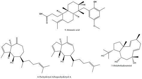 Marine Algae as Source of Novel Antileishmanial Drugs: A Review