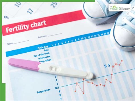 Top 5 Countries With The World’s Lowest Fertility Rates In Females ...