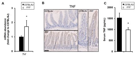 Interleukin-10 Deficiency Impacts on TNF-Induced NFκB Regulated ...