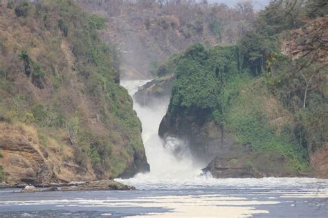 UGANDA SAFARI CHAPTER (2026) All You Need to Know BEFORE You Go (with ...