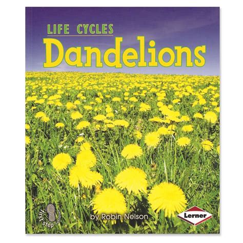 Dandelion Plant Life Cycle