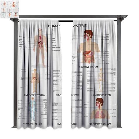 Bybyhome Outdoor Door Curtain Human Anatomy Complete Chart Of Different ...