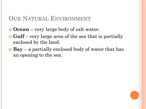 Natural Environment 的图像结果