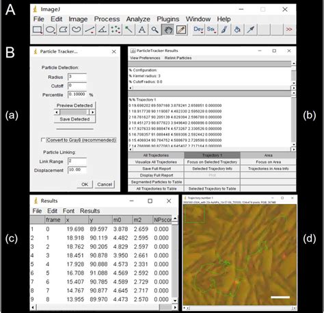 Image result for Manual Tracking ImageJ
